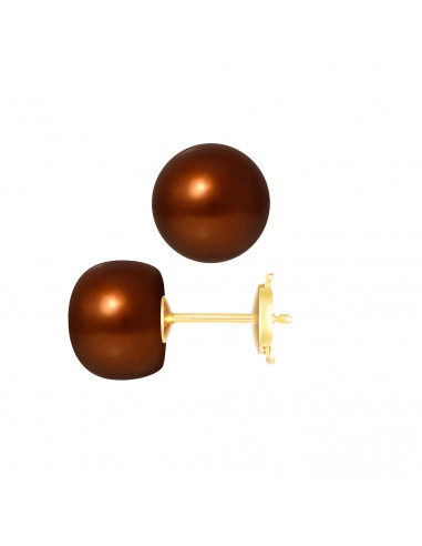 PERLINEA- Boucle d'Oreilles- Perles de Culture d'Eau Douce- Bouton DiamÃÂÃÂ¨tre 9-10  mm Chocolat- Bijou Femme- OrJaune